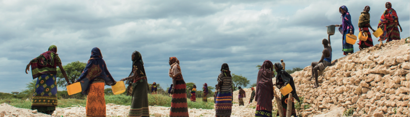 Webinar on Executive Certificate in Gender & Risk Management in Climate (…)