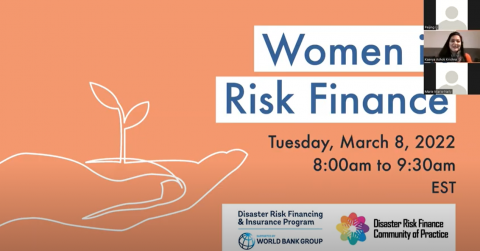 On March 8, 2022, In honor of International Women’s Day, the World Bank Group's (WBG) Disaster Risk Financing and Insurance Program (DRFIP) hosted a webinar “Women in Risk Finance” to celebrate and learn from female leaders who champion financial resilience towards climate disasters and other shocks in Africa. The event served as a platform for these leaders to discuss the challenges, opportunities, and successes they have experienced in advancing the Financial Resilience agenda in their countries