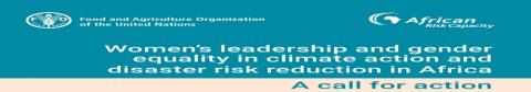 Women’s leadership and gender equality in climate action and disaster risk reduction in Africa