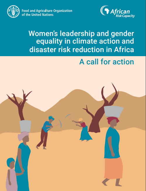 Women’s leadership and gender equality in climate action and DRR in ...