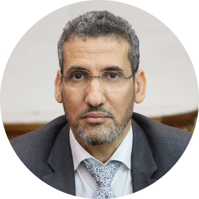Hon. Mohamed Lemine Ould Dhehby